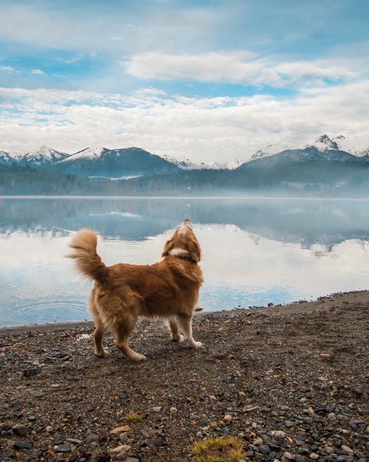 Peninsula Petit Otel San Carlos de Bariloche Dış mekan fotoğraf